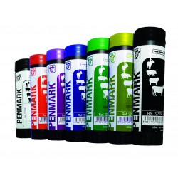KIT 4 CRAYONS RAIDEX...